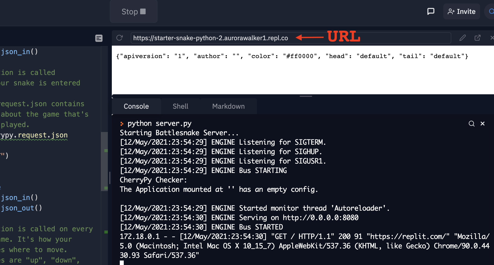 Sample Python Starter Project running, with URL and output